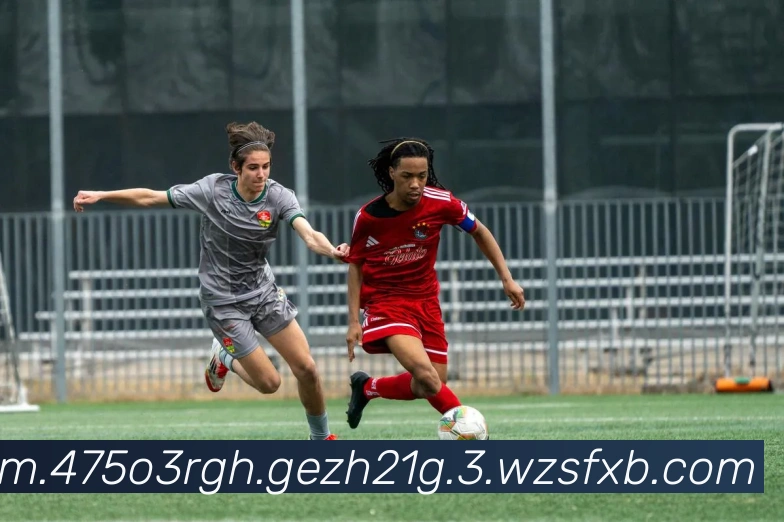 数据防护可视化